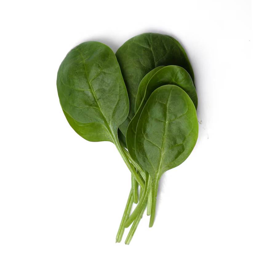 اسفناج برگی دکتر بیژن مقدار 160 گرم